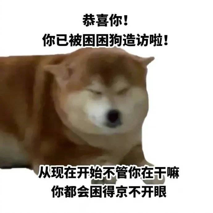 我笑了  我装的表情包