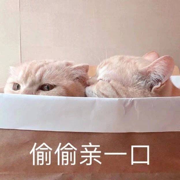 我就吃了一碗饭