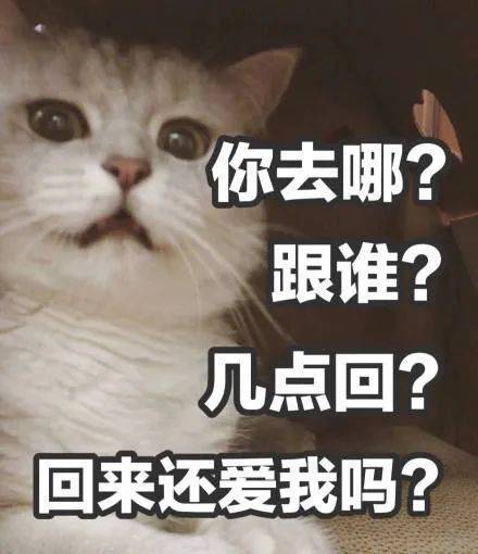 你走吧 我跟被子过