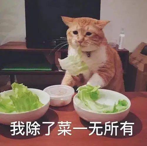 我除了菜一无所有