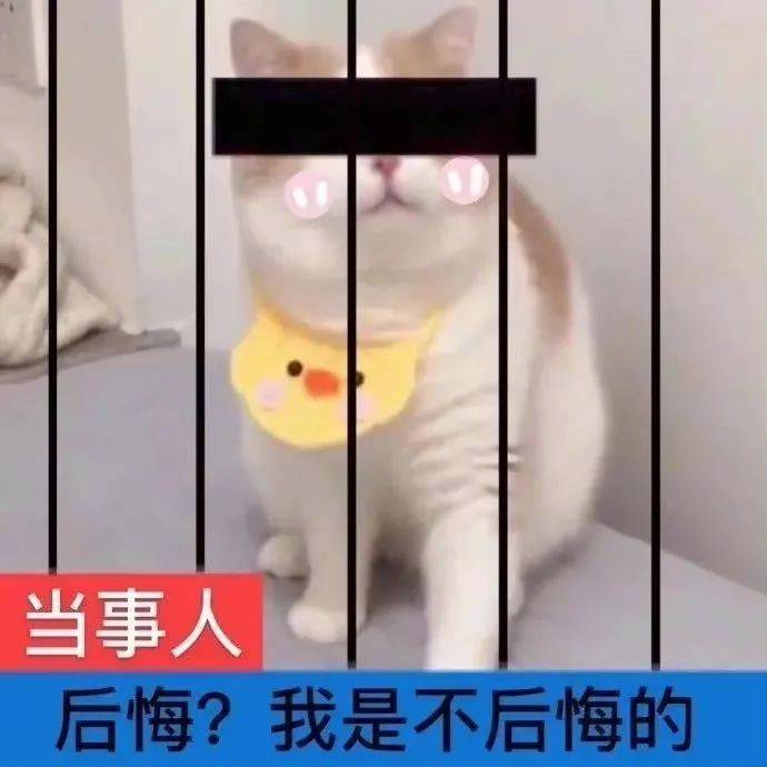 后悔？我是不后悔的表情包