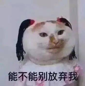 你好有本领表情包