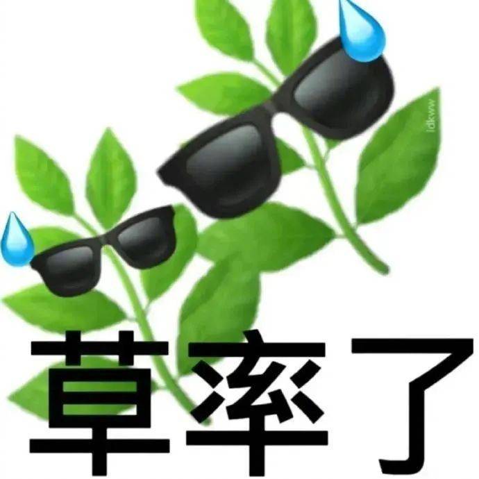 这孩子 打小就聪明