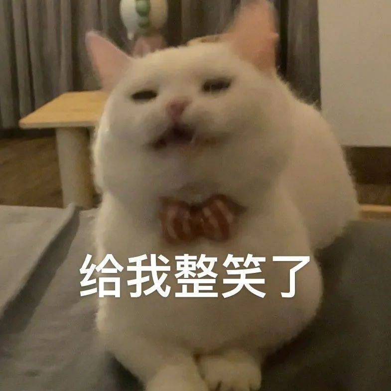 来，哥给你梳头