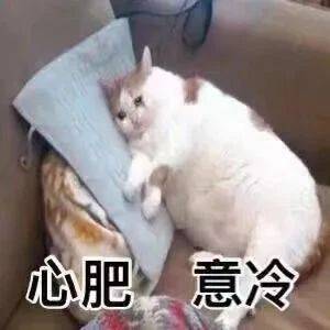 无爱一身轻