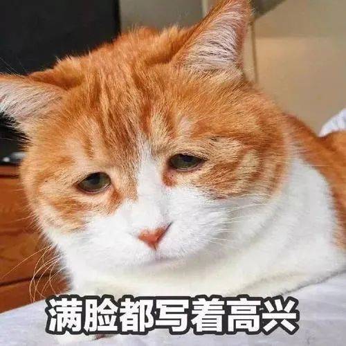 可恶！把你的脑袋瓜敲爆
