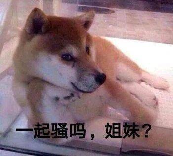 一起骚吗，姐妹？表情包