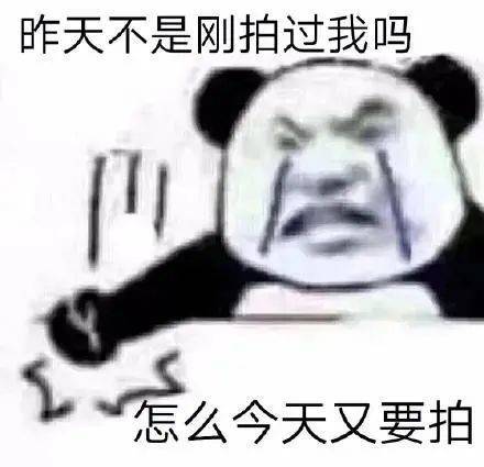 开始自闭