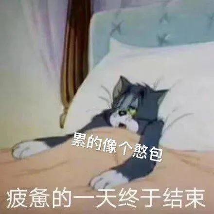 狗听了都点头表情包