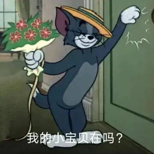 小熊猫拿下了耳机表情包