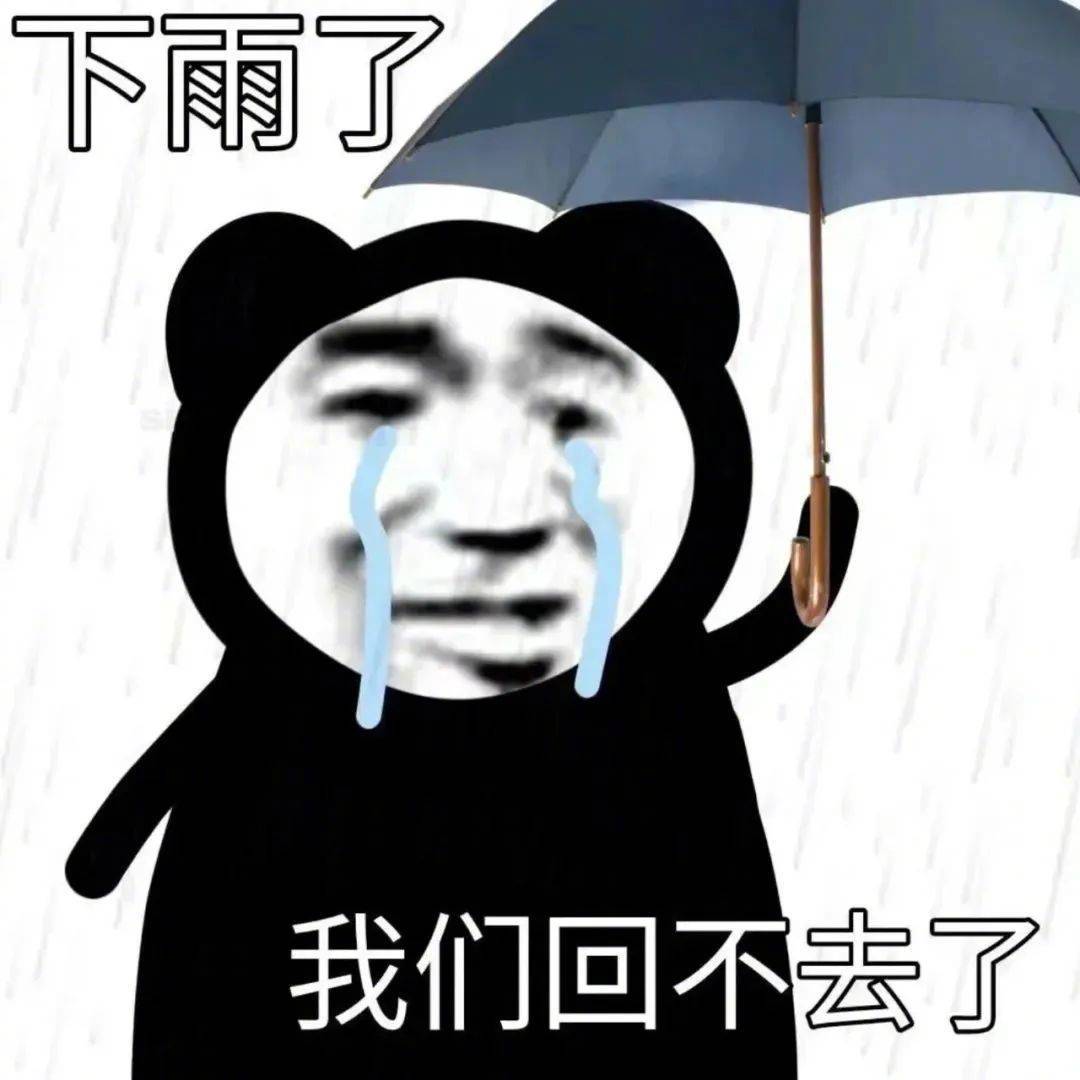 下雨了 我们回不去了