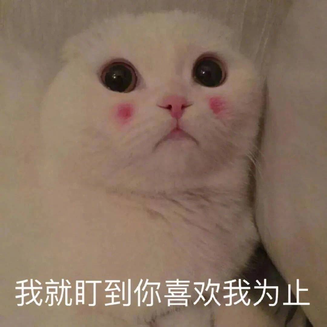 这个人没有脑子的吗？表情包