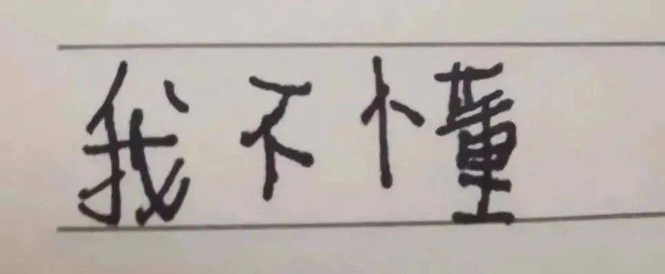 小学生手写表情包：我不理解！