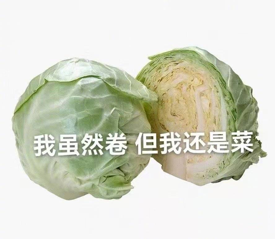 我虽然卷 但我还是菜表情包