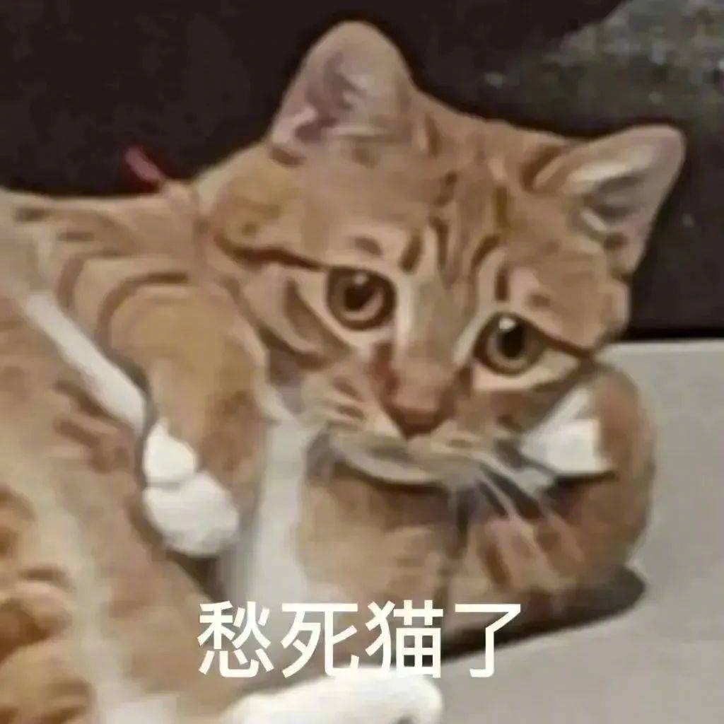 我搞到真的了