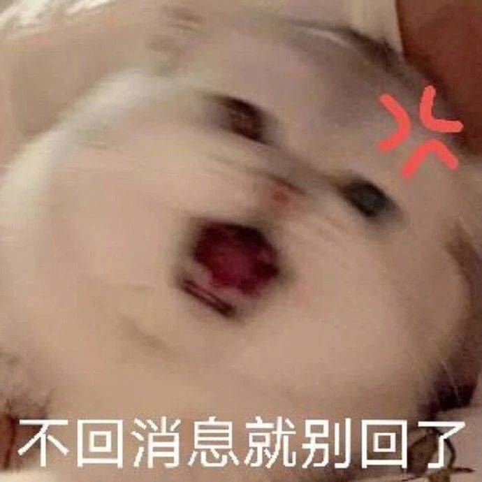 不回消息就别回了