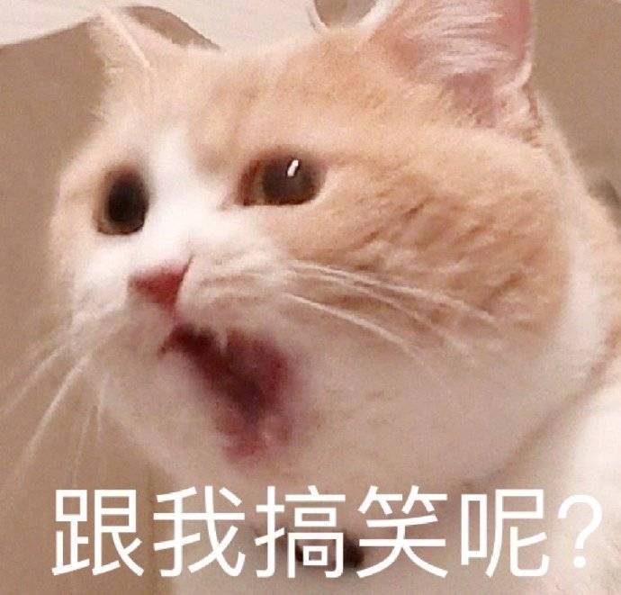 跟我搞笑呢？表情包