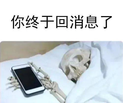 你终于回消息了