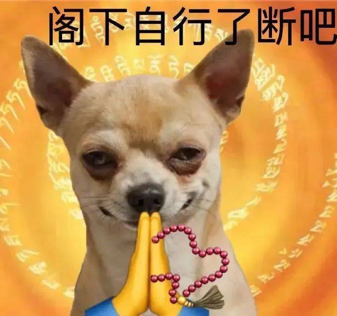 终究还是错付了表情包