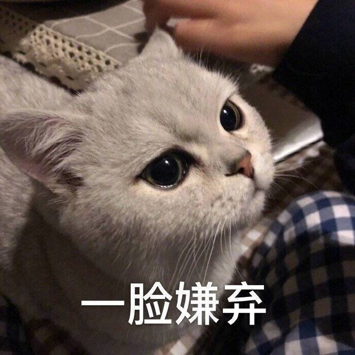 你让我觉得冷表情包