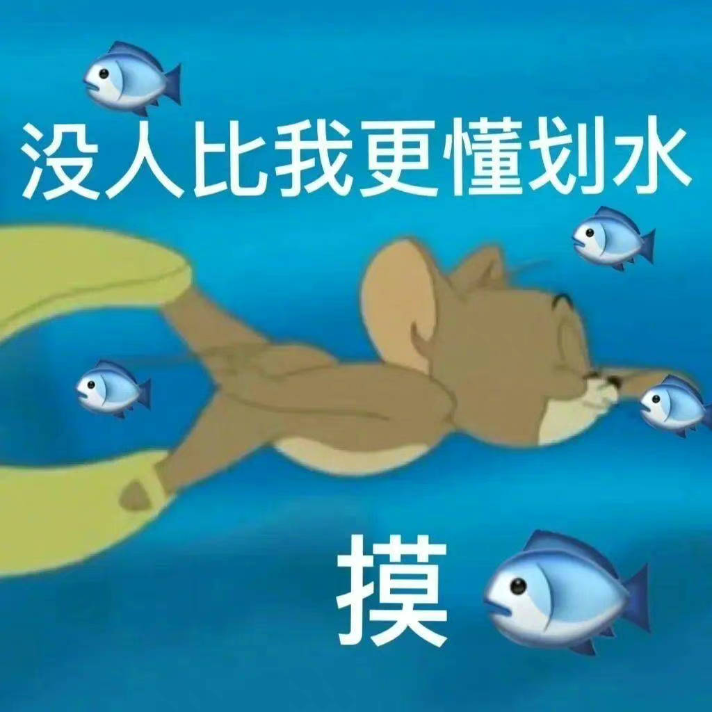 没人比我更懂划水 摸鱼