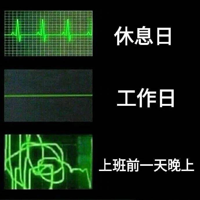 狗脸上写满了单纯表情包