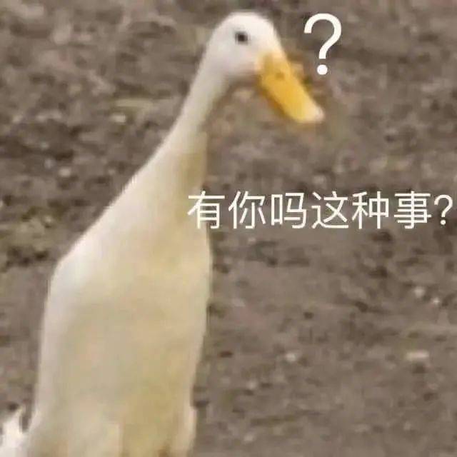 尼玛 狗听了都摇头表情包