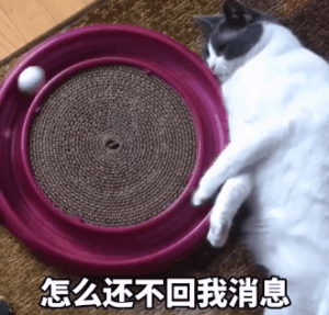 叫大哥，没大没小的表情包