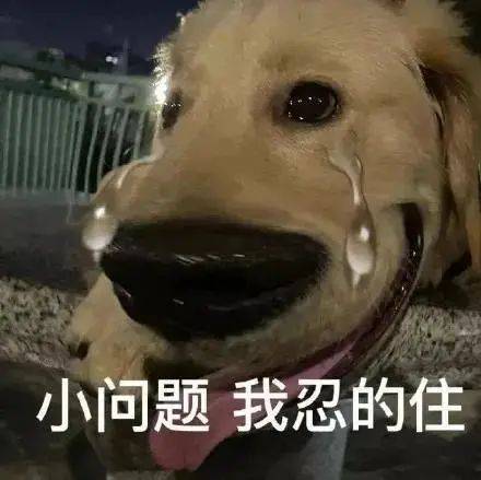 我不是舔狗