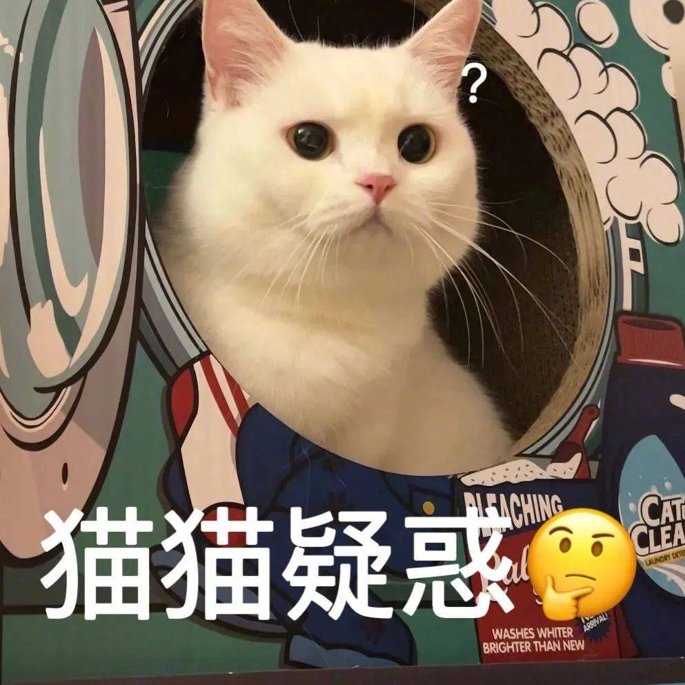 闭上你的狗嘴吧