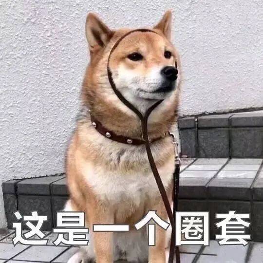 这是一个圈套