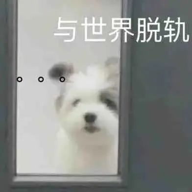 不行  你…那你干嘛？！