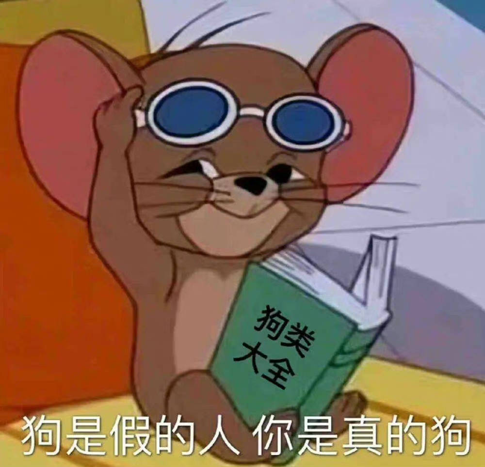 狗是假的人  你是真的狗表情包