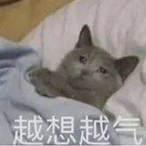 快去吃溜溜梅