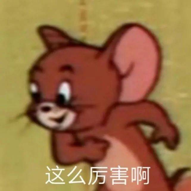 巧了 你也没看懂是吗表情包