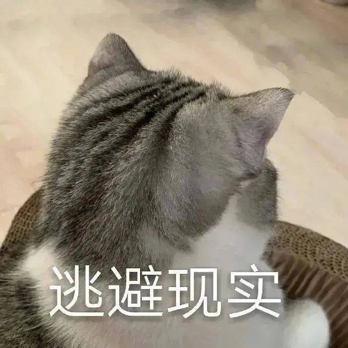 摆烂了  爱咋咋地