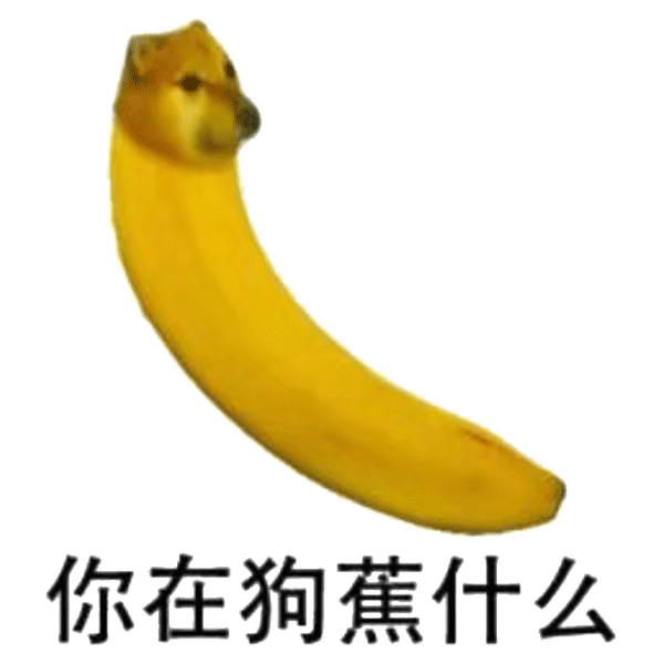 以下言论与IP地址无关表情包