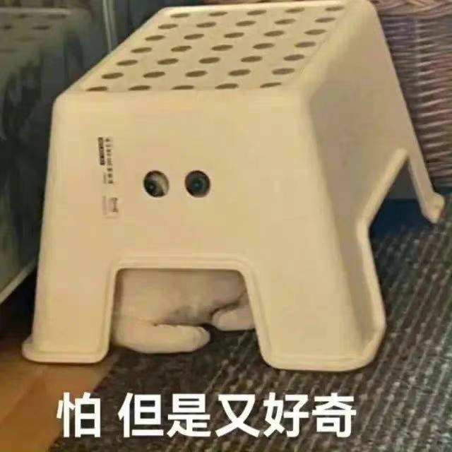 怕 但是又好奇