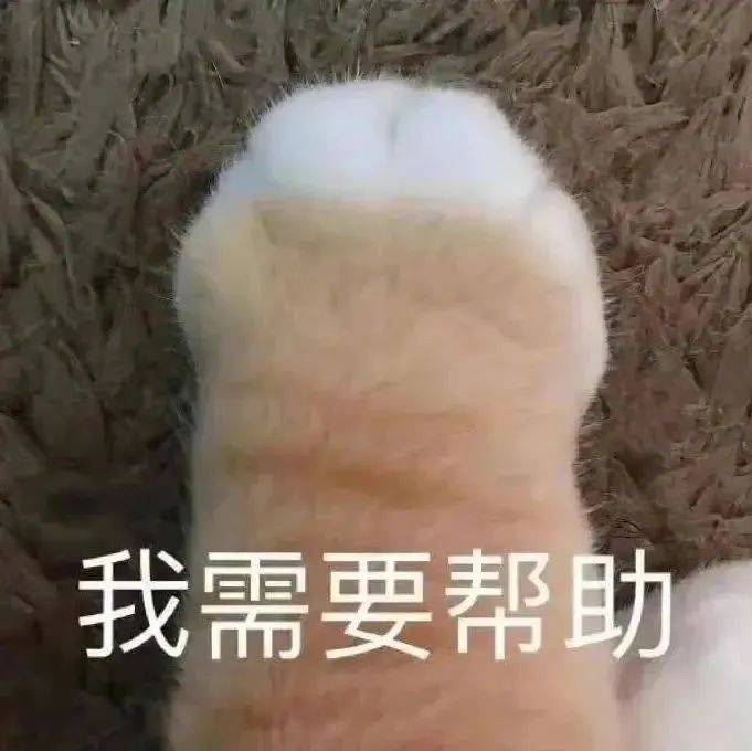 是我不配  先睡咯表情包