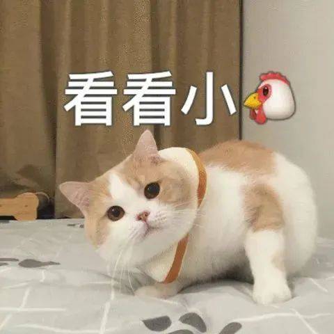 给我一个亲亲