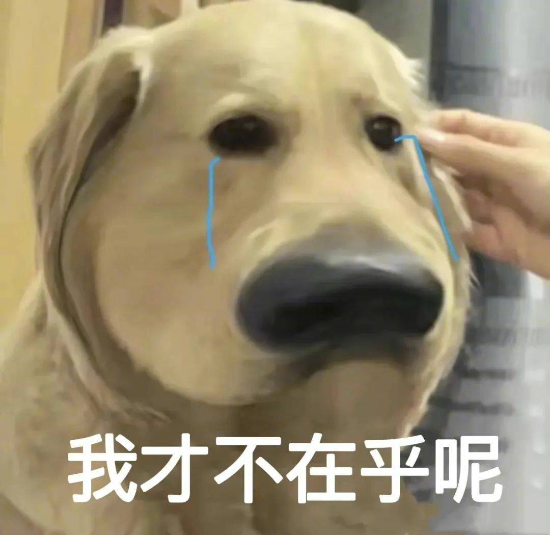 我才不在乎呢