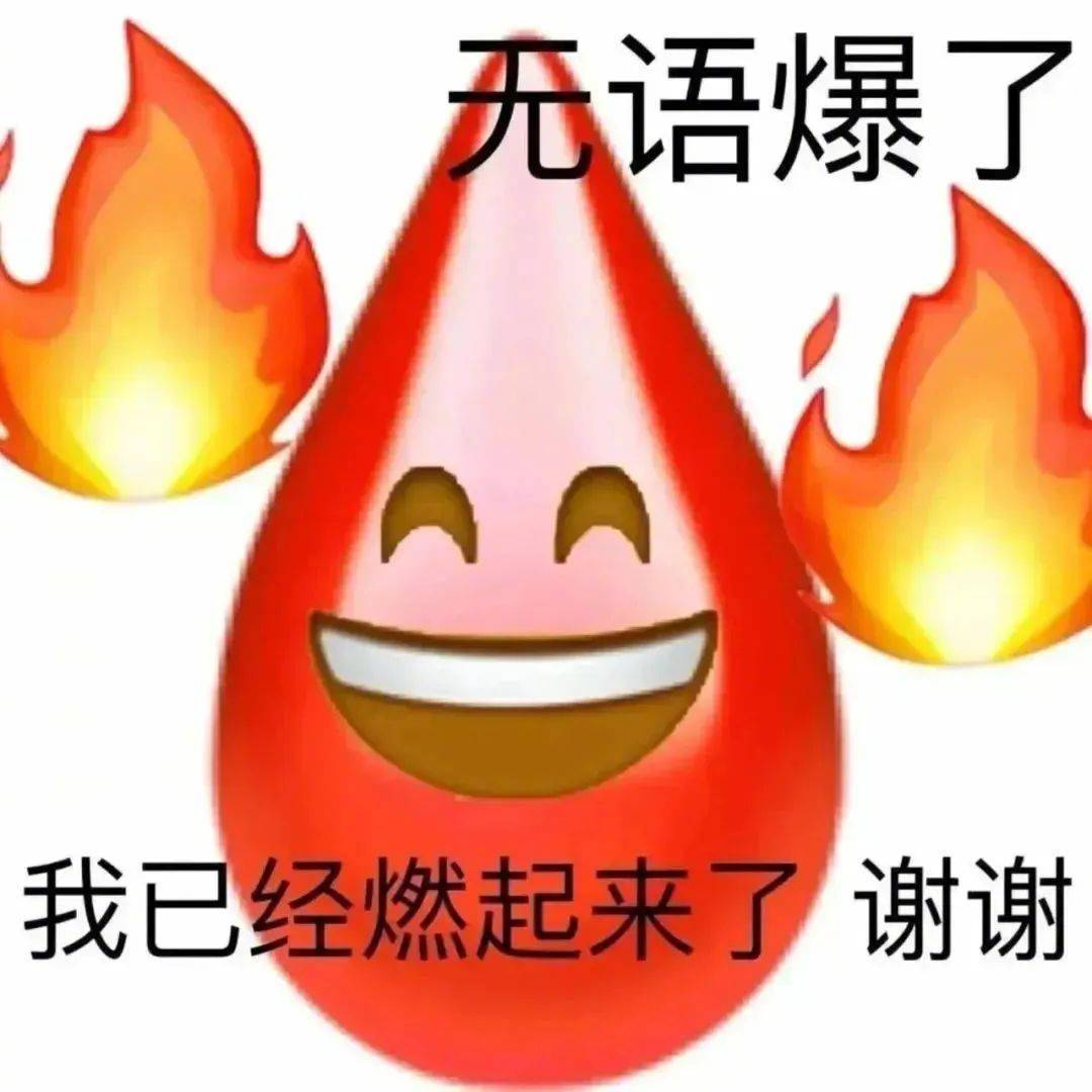 无语爆了 我已经燃起来了 谢谢表情包