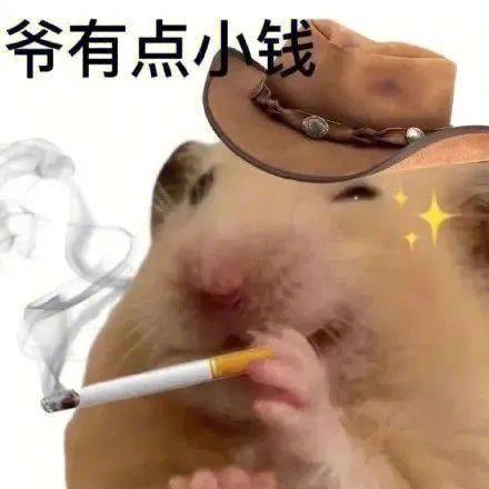 爷有点小钱表情包