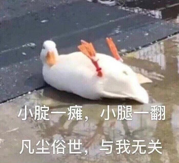 你这个早睡叛徒表情包