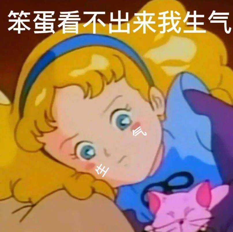 笨蛋看不出来我生气表情包