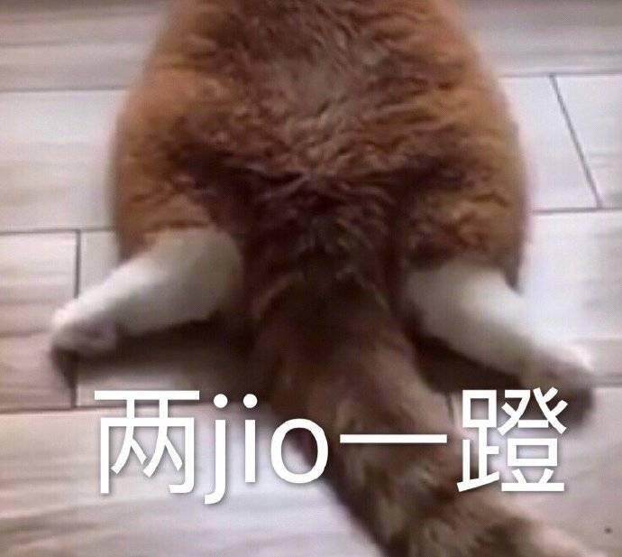 两jio一蹬表情包