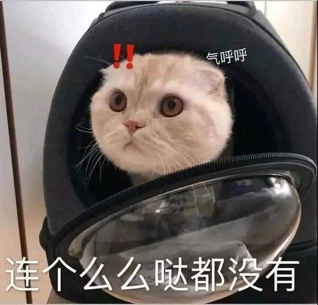 一个人也要坚强鸭表情包