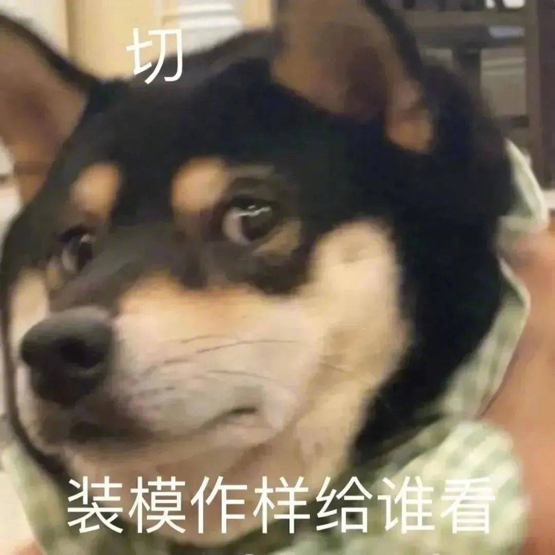 自我反思中表情包