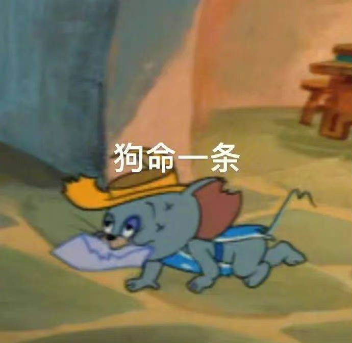 把自己焖了算了