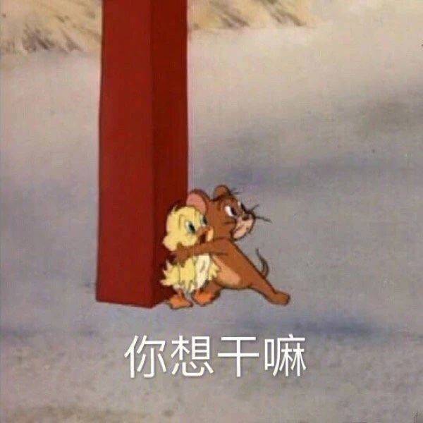 我真的什么都不知道表情包